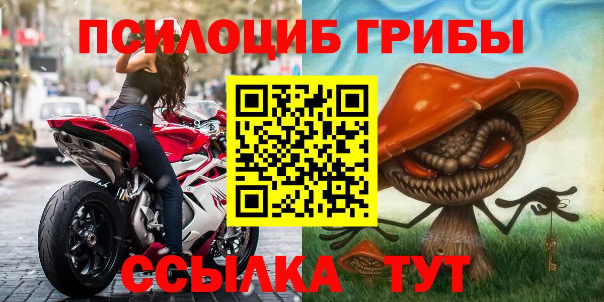 Железноводск  Псилоцибиновые грибы мухоморы  Вход с VPN 