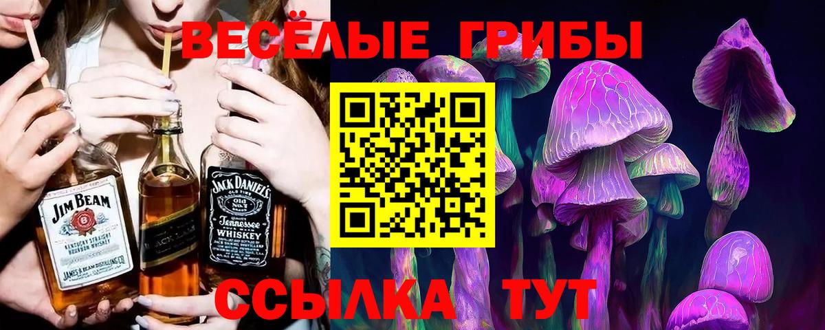 Псилоцибиновые грибы прущие грибы Железноводск
